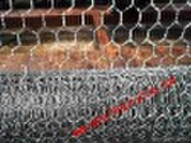 Galvanized Hexagonal wire mesh (Chicken Mesh)