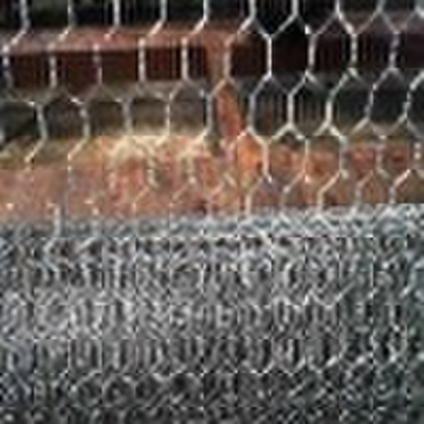 Hexagonal Wire Mesh