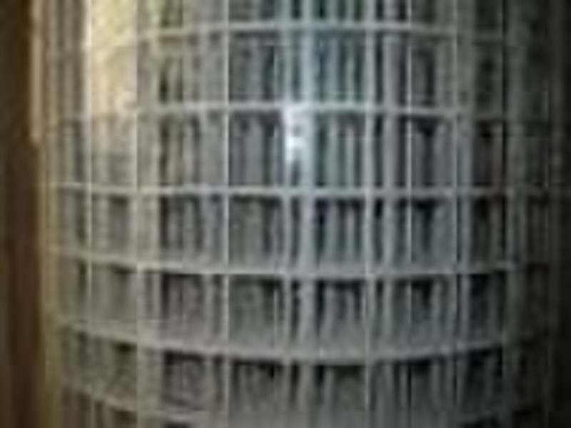 Welded Wire Mesh (Reliable Factory)