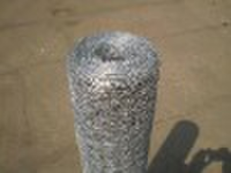Hexagonal wire netting