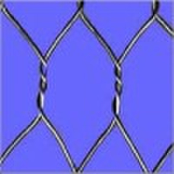 galvanized hexagonal wire netting(factory)