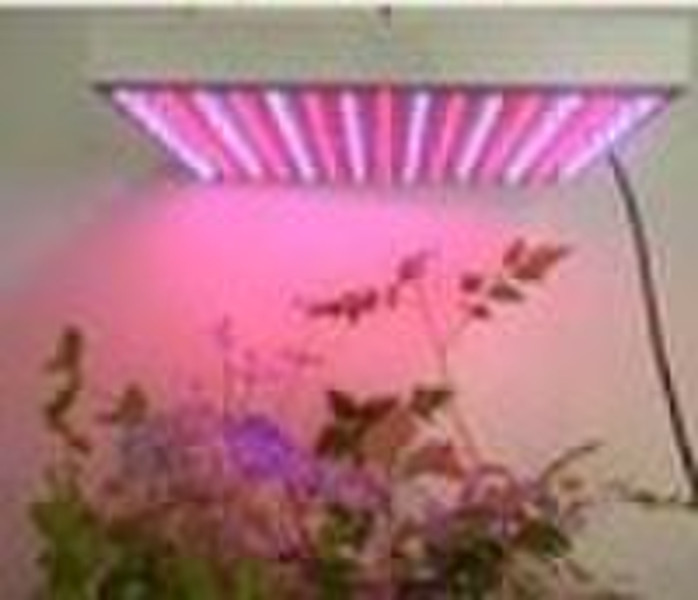 LED grow light 14W