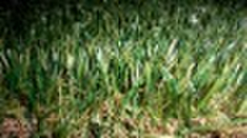 Landscaping Artificial grass