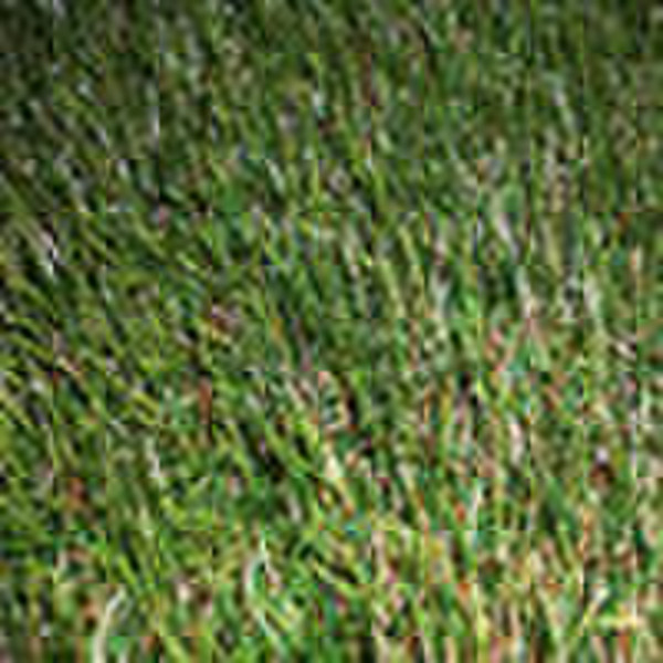 Non-infill artificial turf