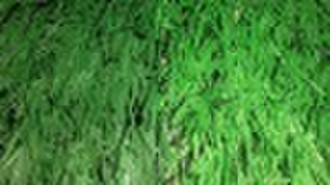 Ovale Form Aritficial Gras für Fußball oder Fußball