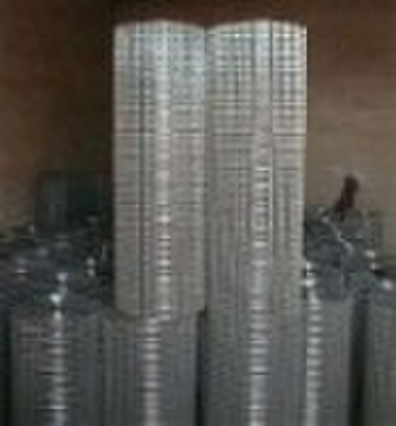 Galvanized welded wire mesh