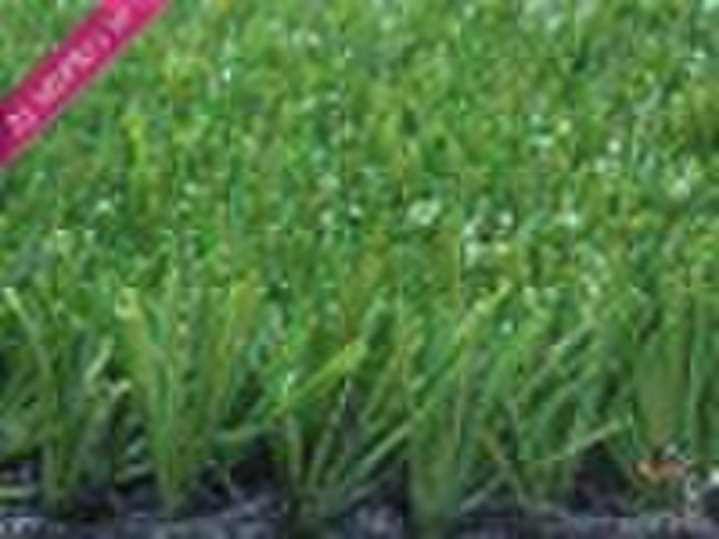 Artificial grass (high quality)