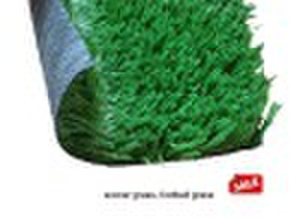 soccer grass