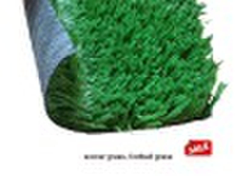 soccer grass