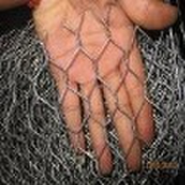 Factory from Anping -Hexagonal Wire Mesh