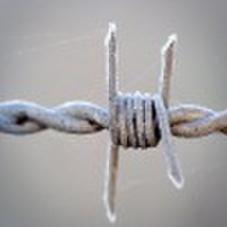 Barbed wire