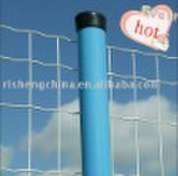 euro fence(pvc)