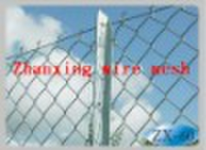 chain link wire mesh/chain link mesh netting serie