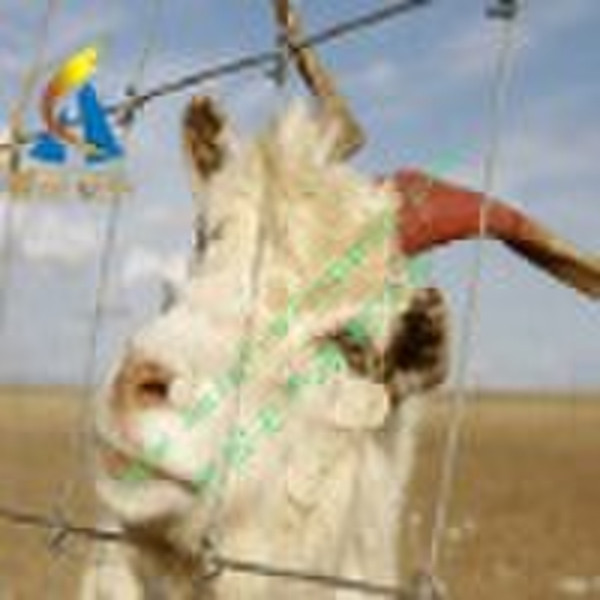 field, grassland,cattle fence
