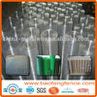 galvanized welded wire mesh(factory price)