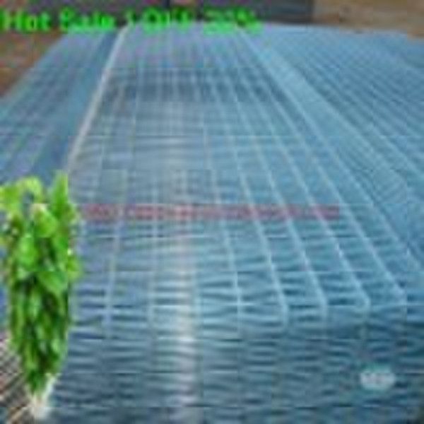 Galvanized Welded Wire Mesh