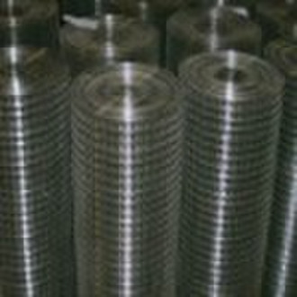 stailess steel welded Wire Mesh