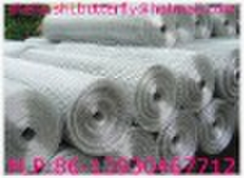 welded wire mesh(China's hot exporting item)