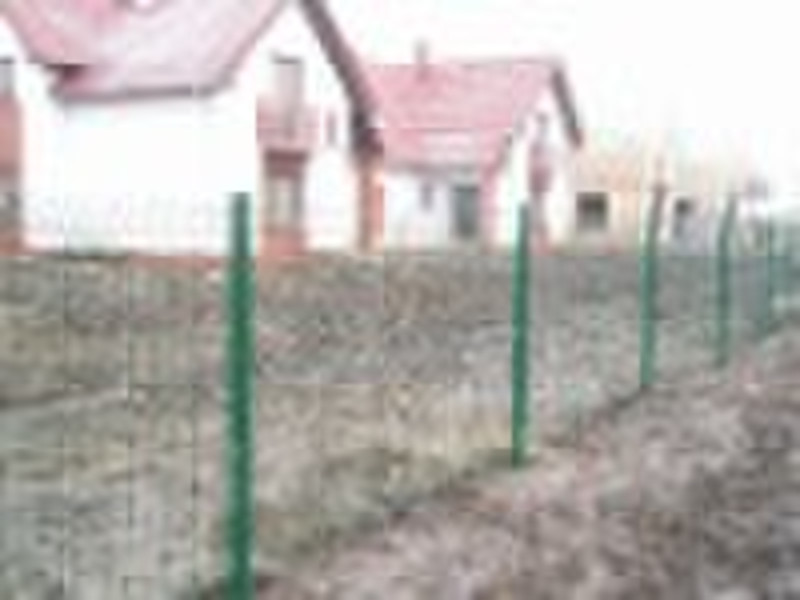 Welded wire fence