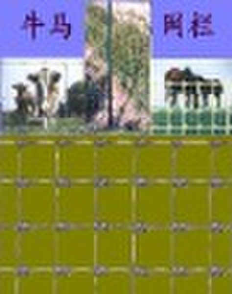 Livestock Fence
