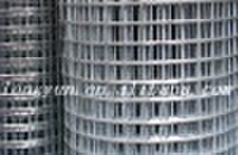 Construction Welded Wire Mesh/Welded Mesh