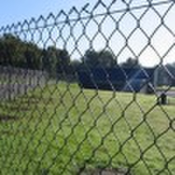 chain link fence (factory lowest price)