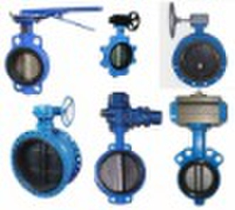 Iron Butterfly Valve