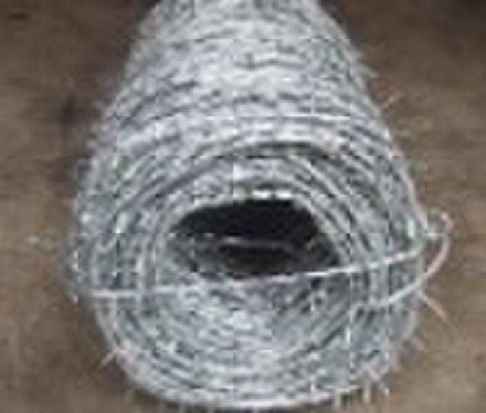 (anping)HDG- barbed wire(factory) intgrity frist