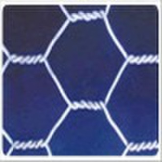 Hexagonal wire mesh