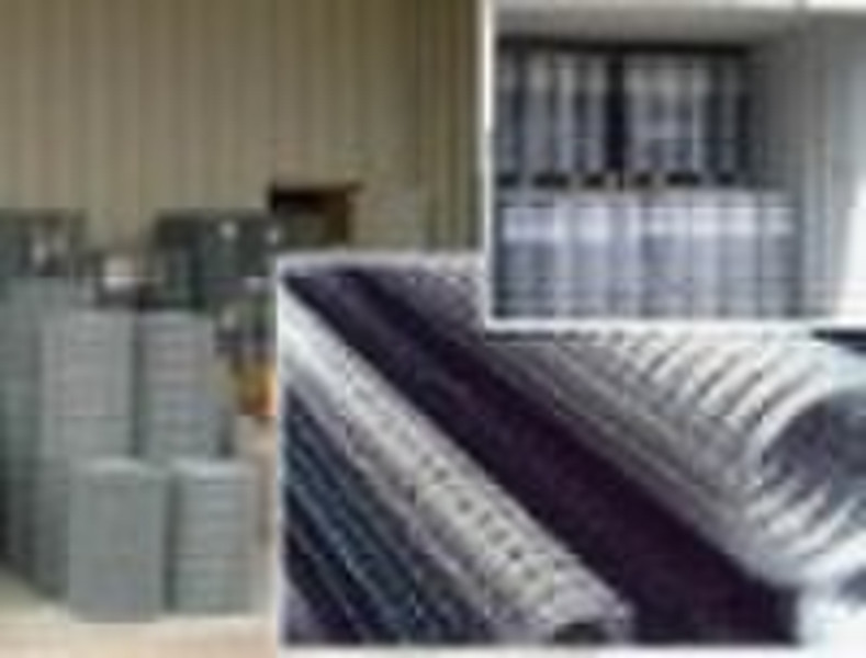 galvanized welded wire mesh