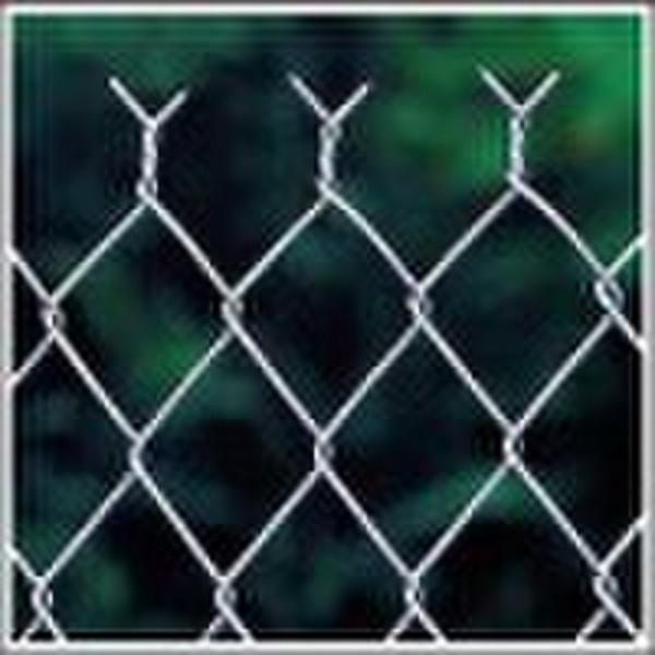 Galvanized Pvc coated chain link fence