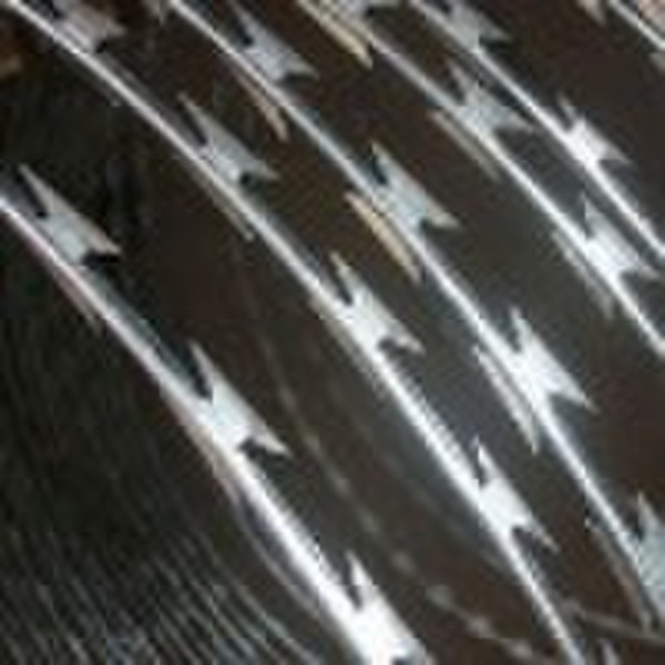 galvanized razor barbed wire fence