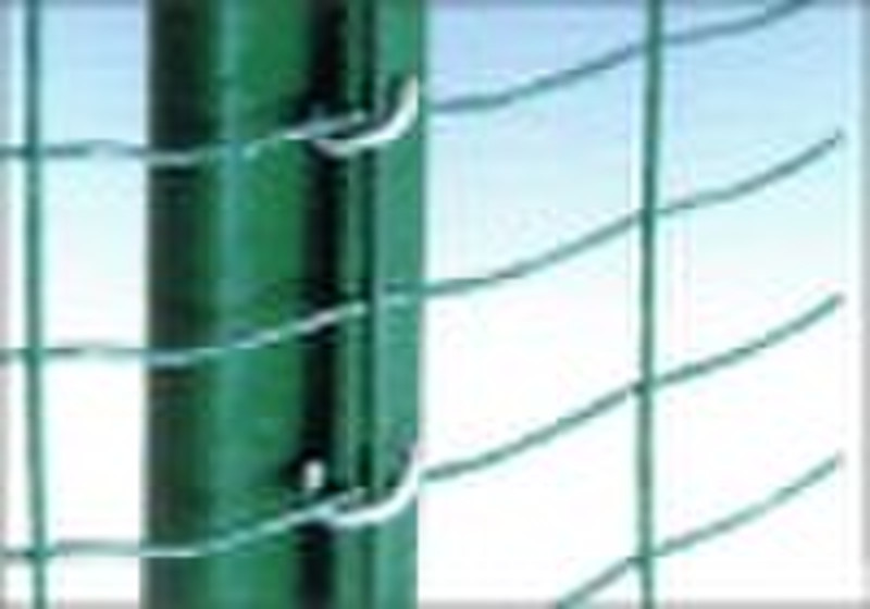 High quality Galvanized/PVC coated Holland Mesh