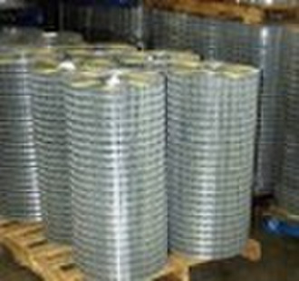 stainless welded wire mesh