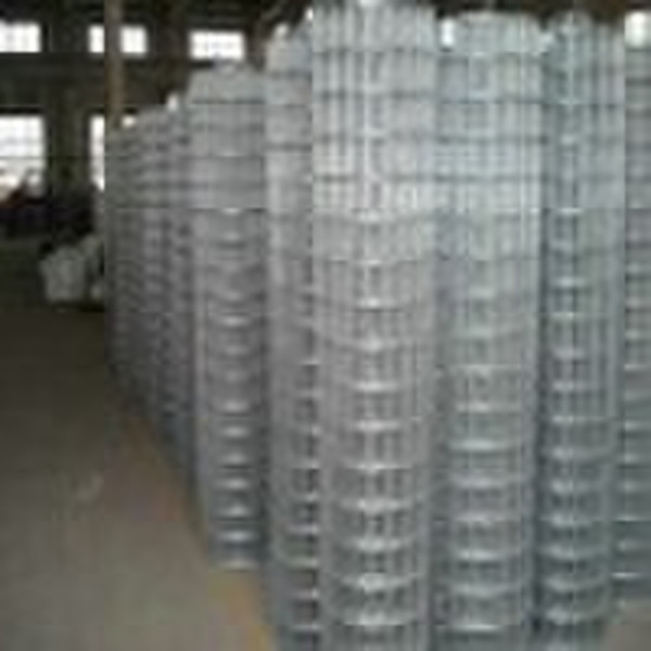 Welded wire mesh