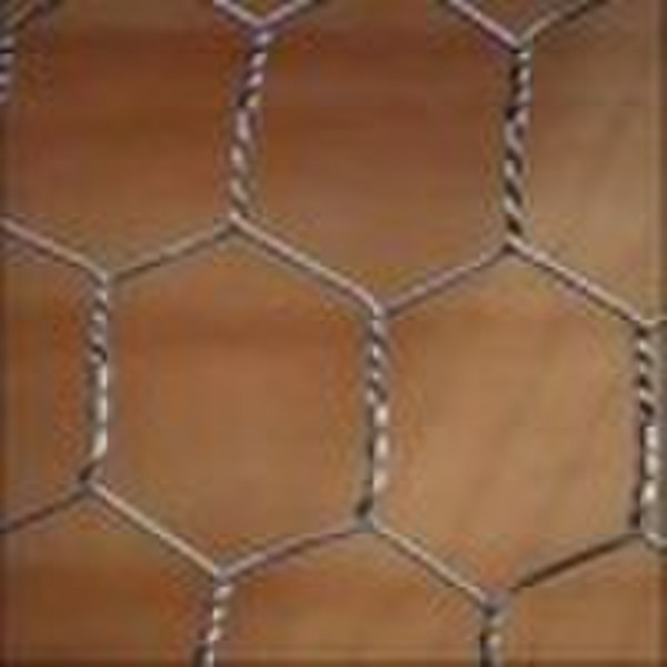 Hexagonal wire mesh