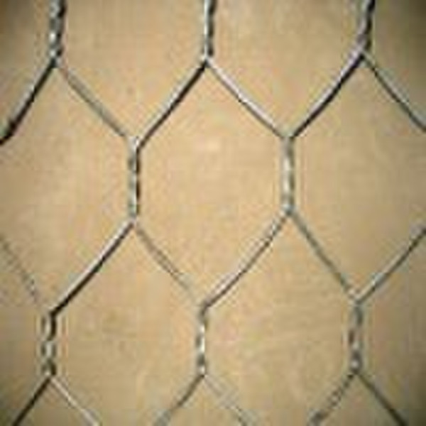 pvc coated hexagonal wire mesh(factory)