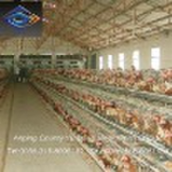 Chicken Cage (factory)