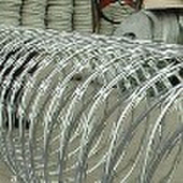 galvanized razor  wire