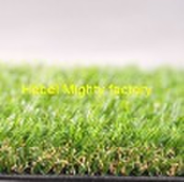 sport grass