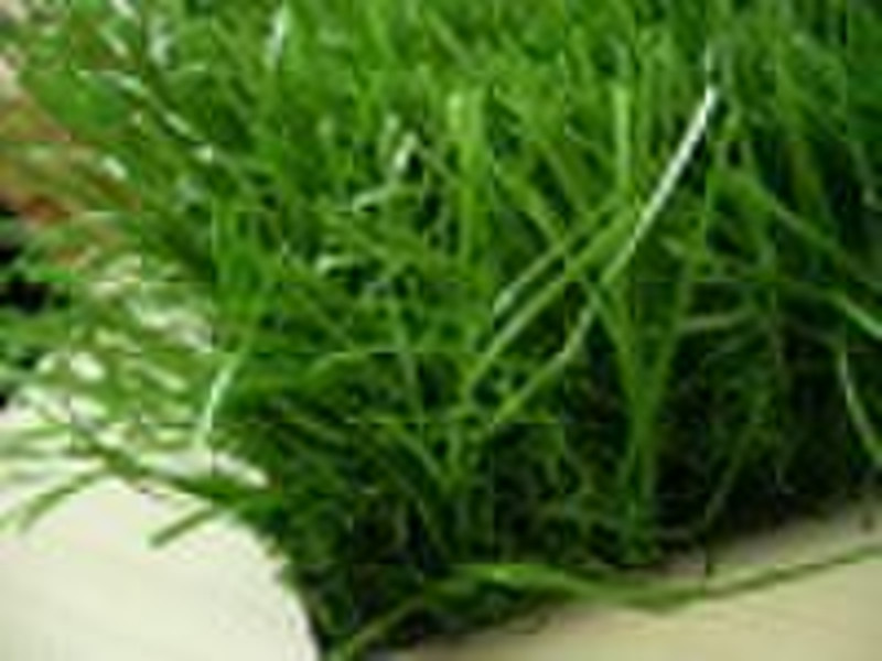 garden artificial turf