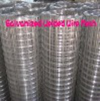 Galvanized Welded Wire Mesh