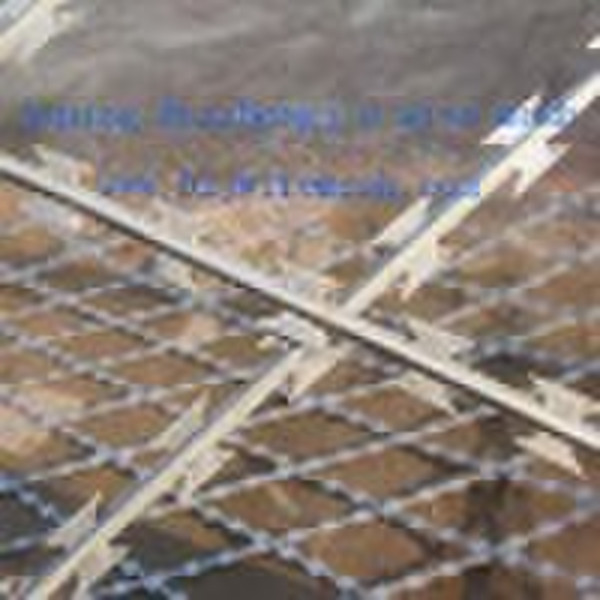 BZJ Razor Barbed Wire mesh