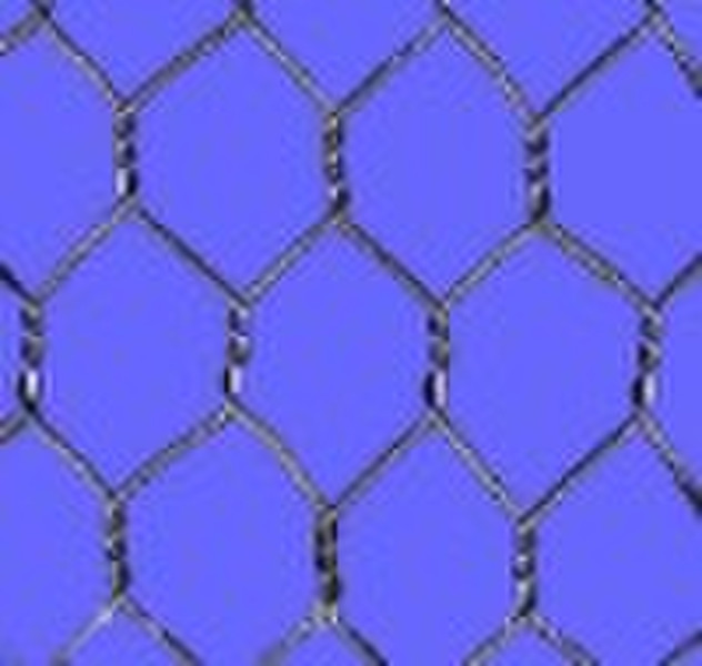 Hot-dipped galvanized hexagonal wire netting