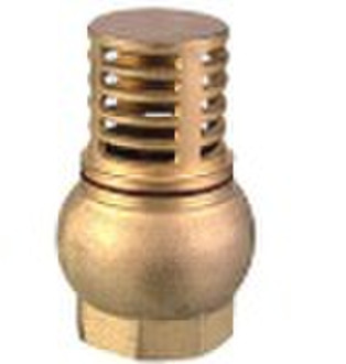 brass foot valve