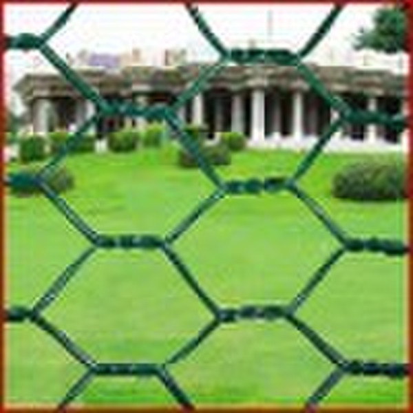 hexagonal iron wire mesh