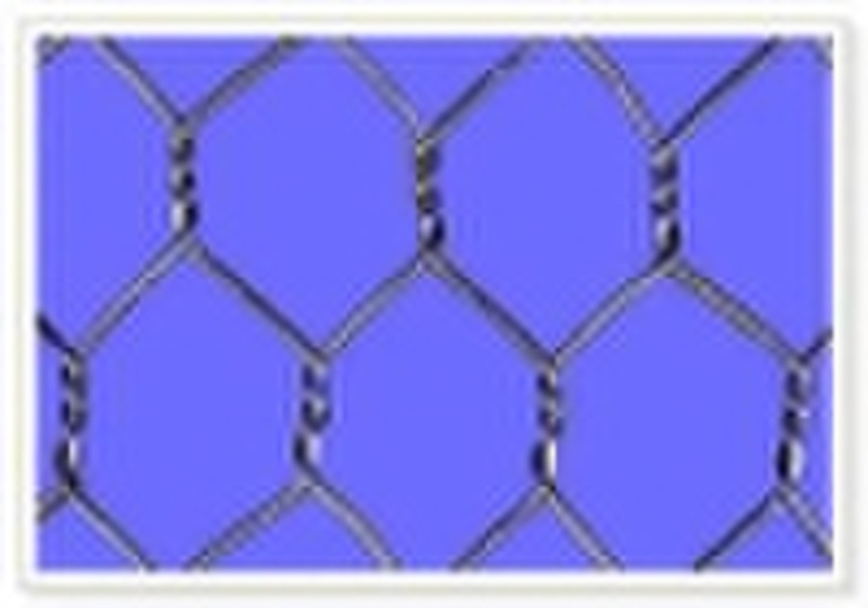 hexagonal wire netting