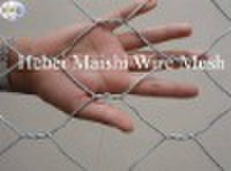 (B)Hexagonal Wire Mesh