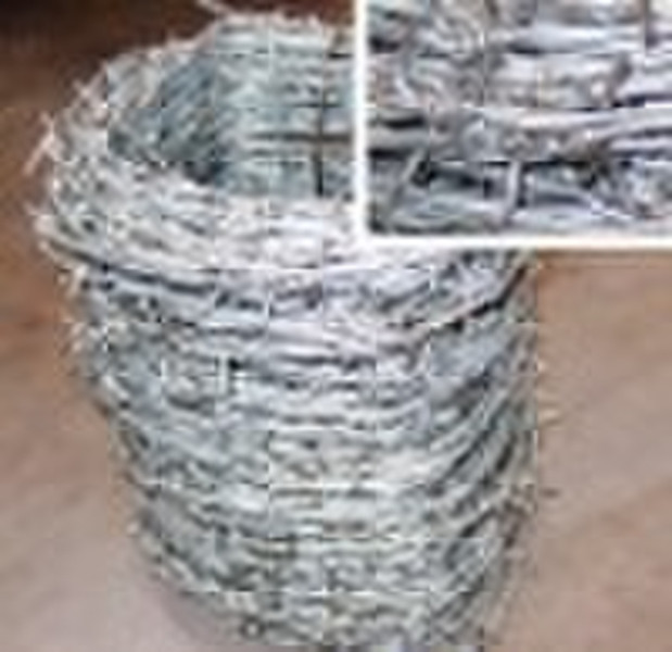 Galvanized Barbed Wire