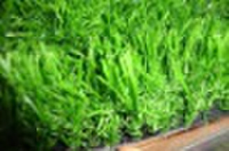 Artificial Lawn Straight & Curly Garden Grass